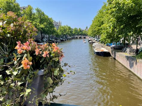 Essential Dutch Phrases For Travelers Amsterdam Tips Amsterdam