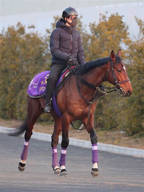 【報知杯弥生賞】昨年の2歳王者ドウデュースが、併せ馬で力強い動き Umatoku 馬トク