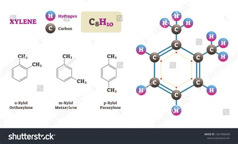 Xylene Vector Illustration Labeled Chemical Structure Stock Vector