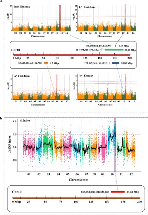 The Position Of LG Locus Revealed Via GWAS And BSA A GWAS Of