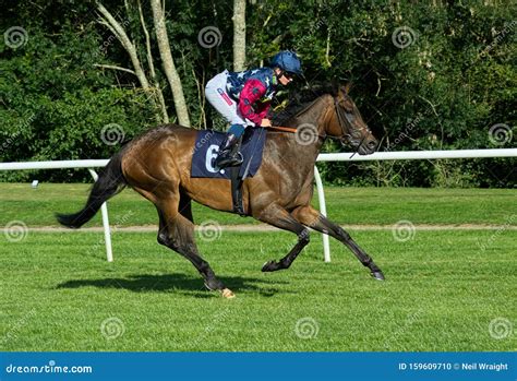 Hollie Doyle, UK Horse Racing Jockey. Editorial Image - Image of ...