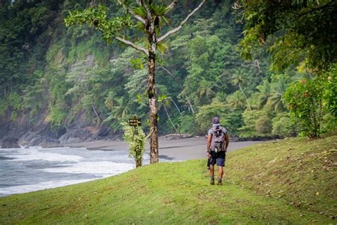 Corcovado National Park Full Day Adventure From Drake Bay