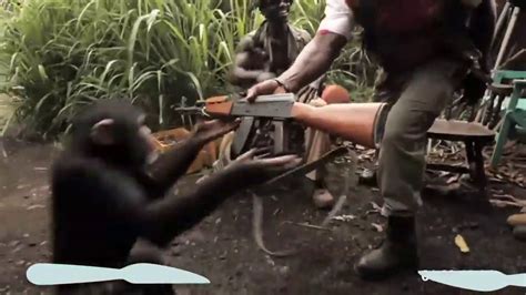 Monkey use AK 47 gana viral video.mp4 - YouTube