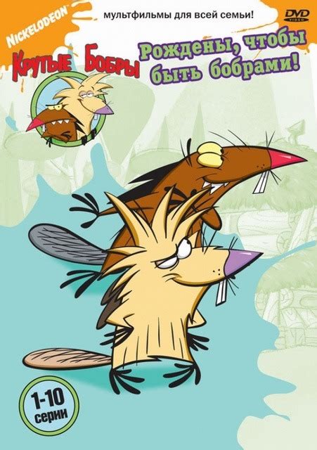 Born To Be Beavers Dvd Angry Beavers Fanon Wiki Fandom