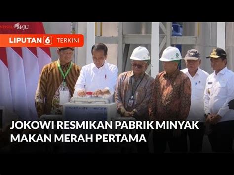 Presiden Jokowi Resmikan Pabrik Minyak Makan Merah Pertama Liputan 6