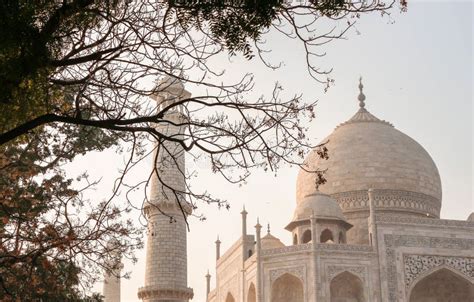 Monumento Taj Mahal Em Agra índia Ramos De árvores Em Primeiro