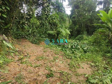 Terreno A Venda Em Ubatuba Bairro Cazanga Pereque A U R Mil