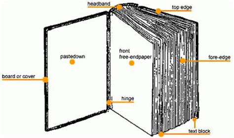 Book Anatomy Parts Of A Book And Definitions Ibookbinding Free