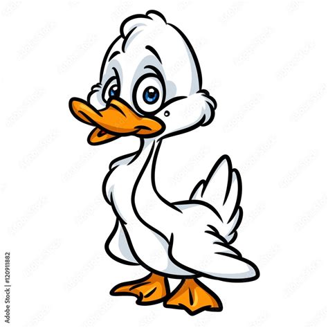 White Duck Cartoon