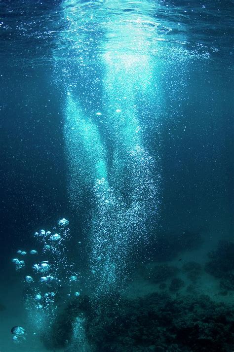 Divers Bubbles Photograph By Georgette Douwmascience Photo Library