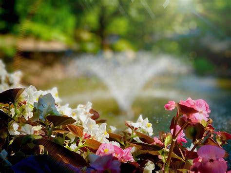 Hidden Mountain Resort - Home | Facebook