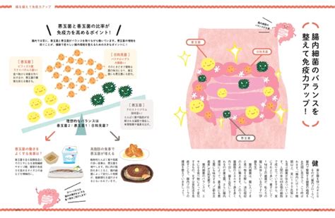 腸の老化が免疫力を左右する！？今日からできる「腸の鍛え方」 株式会社世界文化ホールディングスのプレスリリース