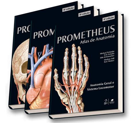 Coleção Prometheus Atlas de Anatomia 3 Volumes PDF Michael Schünke