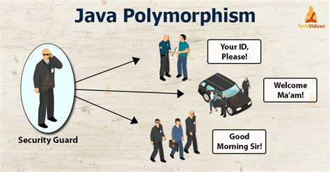 What Are The Practical Real Life Examples Of Polymorphism Images