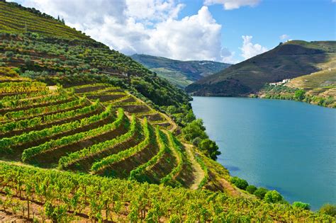 Vinho Verde: The Ideal Summer Wine From Portugal - FreshMAGAZINE