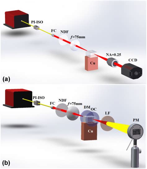 Mhz Repetition Rate Femtosecond Radially Polarized Vortex Laser Direct