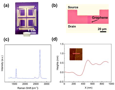 Graphene Based Ion Selective Field Effect Transistor For Sodium Sensing