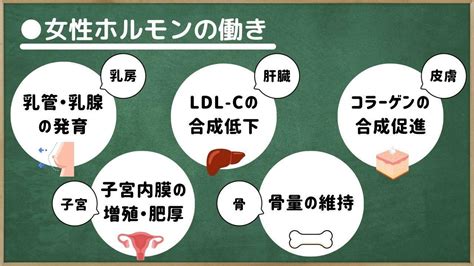 「女性ホルモンが少ない」サイン？ 女性ホルモンと様々な臓器との関係！ （おがちゃん先生） エキスパート Yahooニュース