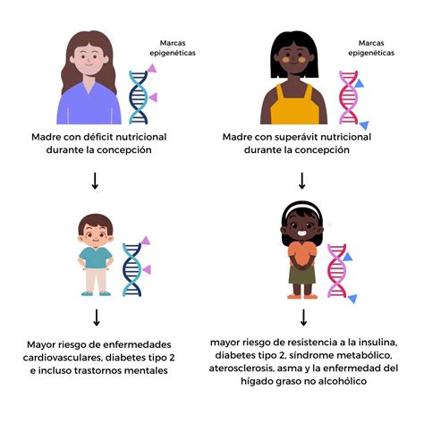 Factores Nutricionales Que Modifican El Epigenoma Genotipia