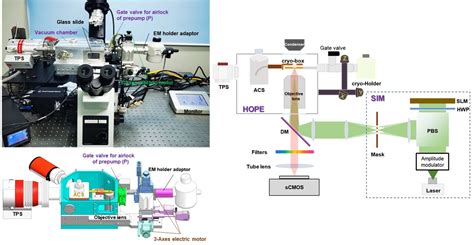 HOPE SIM A Cryo Structured Illumination Fluorescence Microscopy System