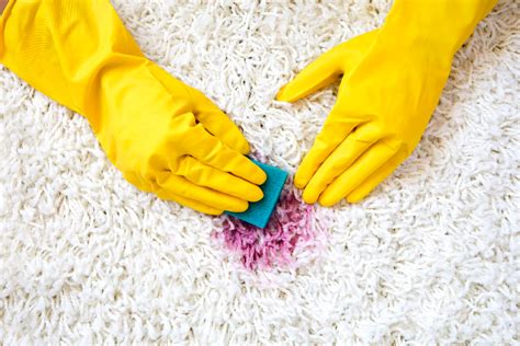 Important Reasons Why You Need To Hire A Professional Carpet Cleaning