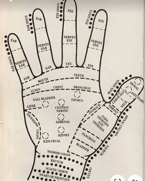 Pin By Pasam Bhargavi On Pins By You In 2024 Reflexology Hand Chart