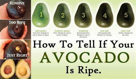 How To Tell If Your Avocado Is Ripe Visually Creative Food Hack