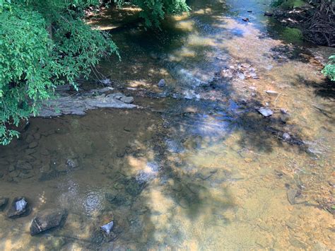 20 Acres In Burke County North Carolina