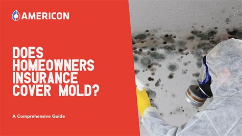 Does Homeowners Insurance Cover Mold