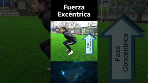 FUERZA EXCÉNTRICA y FUERZA CONCÉNTRICA YouTube