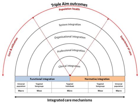 Conceptual Framework Of Integrated Care Based On The Integrative