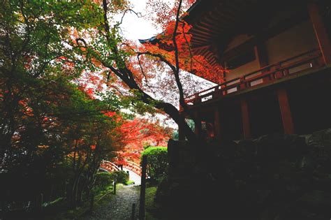 【京都】醍醐寺の観光情報！金堂や五重塔の見どころ