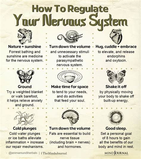 Mental And Emotional Health Mental Wellness Holistic Healing Energy