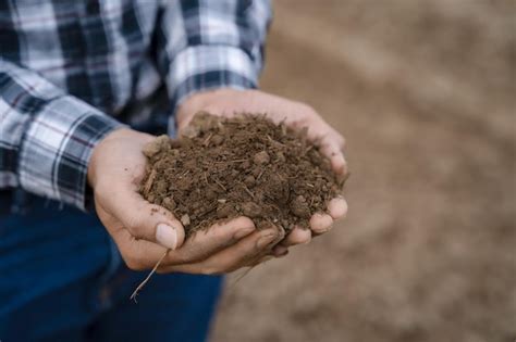 Las Manos Expertas De Los Agricultores Verifican La Salud Del Suelo