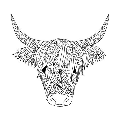 27+ highland cow coloring page - AmgedAllexis