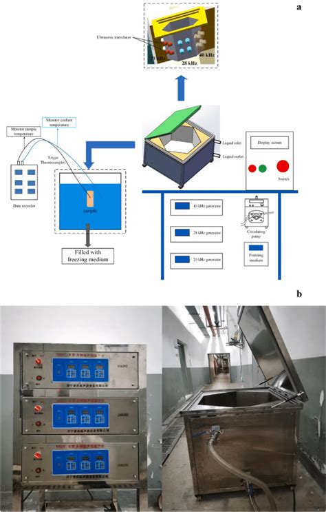 Schematic Diagrams Of The Multi Frequency Ultrasound Assisted Freezing Download Scientific