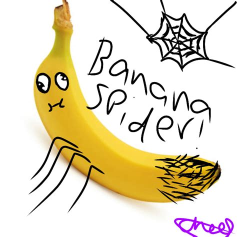 Banana Spider Ibispaint