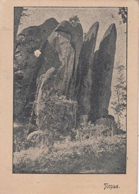 Открытое письмо. Скала Перья в заповеднике «Столбы». 1930-е гг.