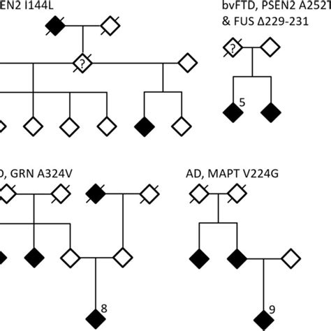 Pedigrees Of The Families In Which Mutations Were Identified The