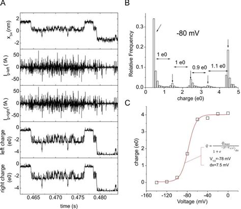 Figure From Simulation Of Gating Currents Of The Shaker K Channel