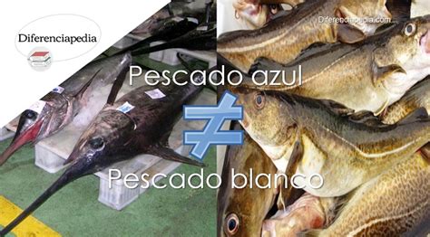 Diferencias Entre Pescado Azul Y Pescado Blanco Recetas De Cocina