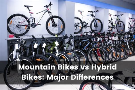 Mountain Bike Vs Hybrid Bike What S The Difference 2024