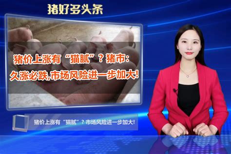 猪价上涨有“猫腻” 警惕：久涨必跌，市场风险进一步加大凤凰网视频凤凰网