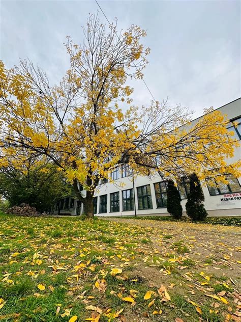 Fakulteti Filozofik