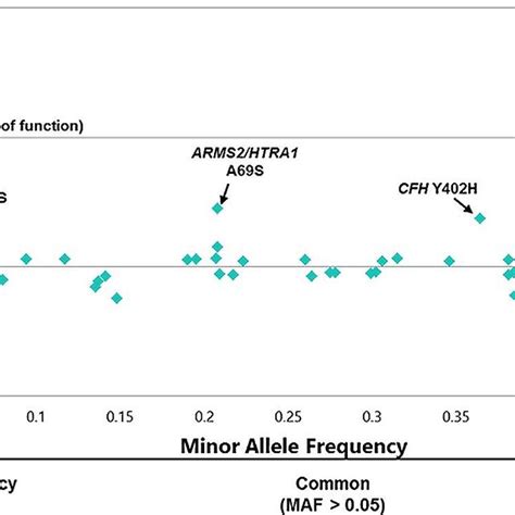 Display Of Genetic Variants Associated With Amd Risk According To Minor