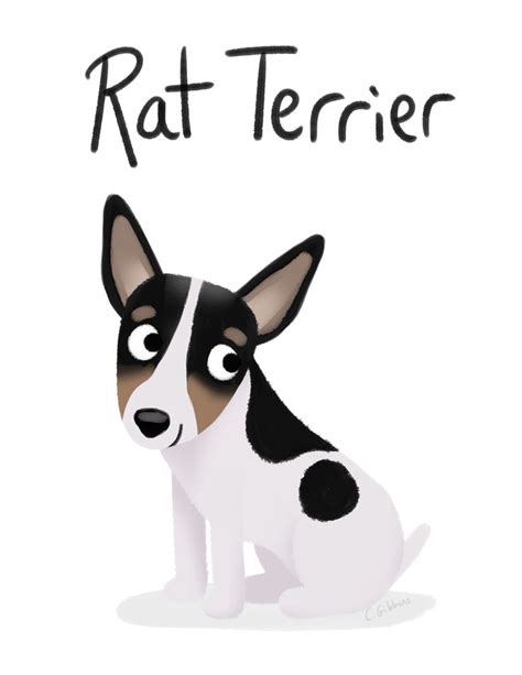 Rat Terrier Cute Dog Series Framed Art Print By Cassandra Berger