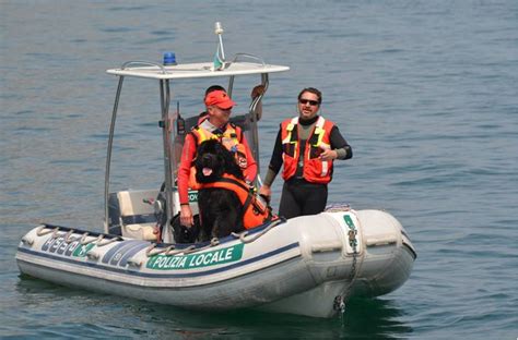 Sul Lago Di Lecco Spiagge Sicure Grazie Ai Cani Bagnino Della Sics