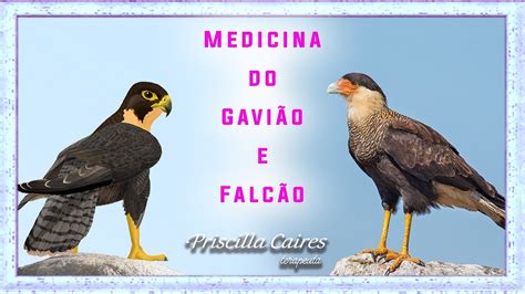 Medicina E Medita O Do Falc O Gavi O Carcar Youtube