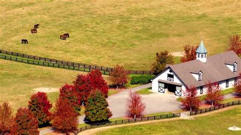 From the sky: Witness the magic of Kentucky horse farms in the fall