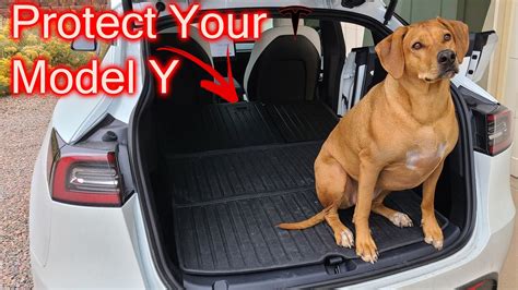 Dog Proofing Our Tesla Model Y Part Tesmanian Rear Seat